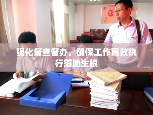 强化督查督办，确保工作高效执行落地生根