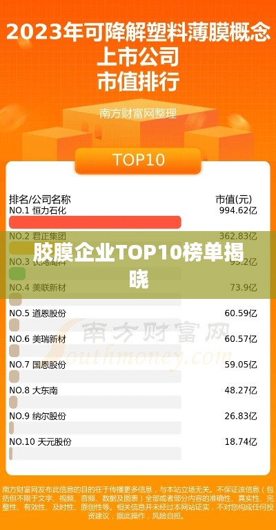胶膜企业TOP10榜单揭晓