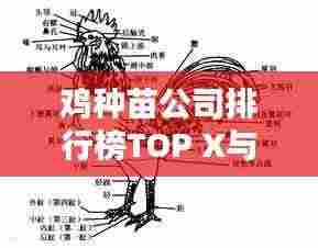 鸡种苗公司排行榜TOP X与行业深度解析
