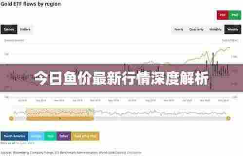 今日鱼价最新行情深度解析