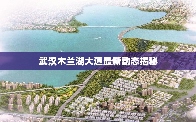 武汉木兰湖大道最新动态揭秘