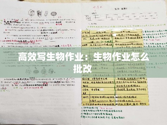 高效写生物作业：生物作业怎么批改 