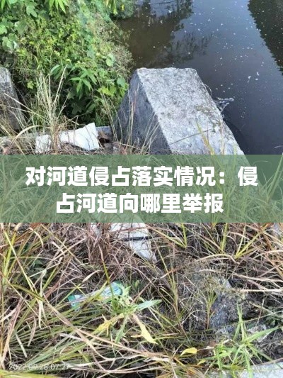 对河道侵占落实情况：侵占河道向哪里举报 
