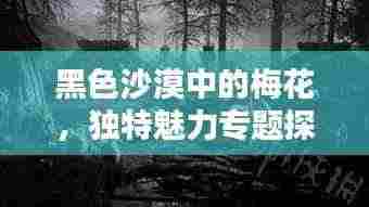 黑色沙漠中的梅花，独特魅力专题探索