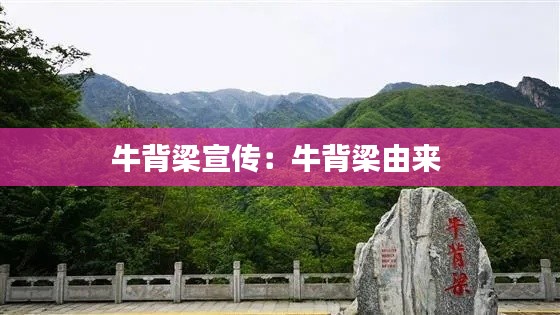 目不转睛 第4页