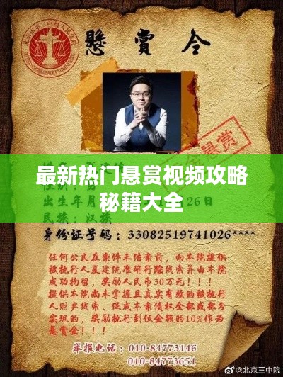 最新热门悬赏视频攻略秘籍大全