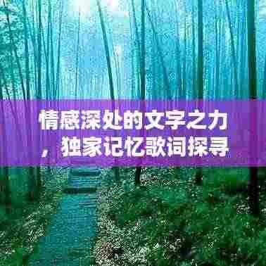 情感深处的文字之力，独家记忆歌词探寻