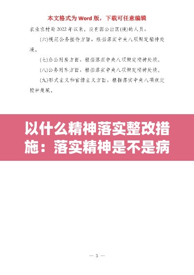 以什么精神落实整改措施：落实精神是不是病句 