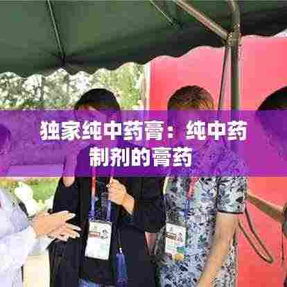 鸡飞狗跳 第4页