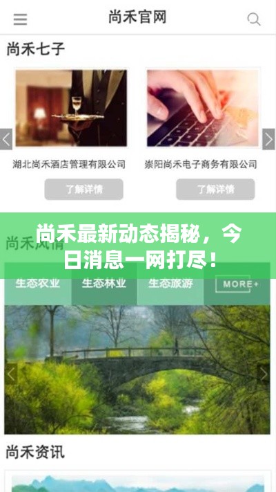 尚禾最新动态揭秘，今日消息一网打尽！