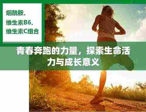 反朴归真 第4页