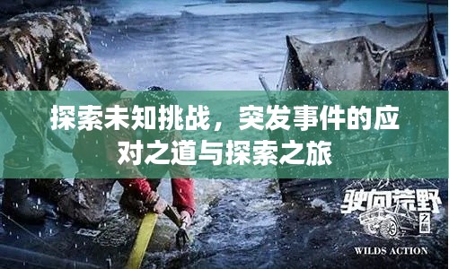 探索未知挑战，突发事件的应对之道与探索之旅