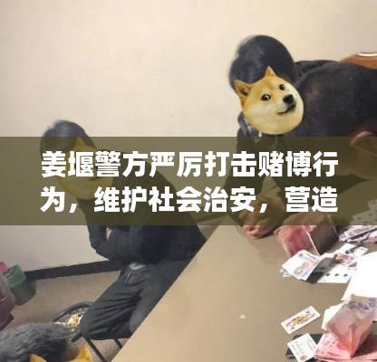 姜堰警方严厉打击赌博行为，维护社会治安，营造安全环境