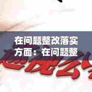 在问题整改落实方面：在问题整改方面存在的不足 