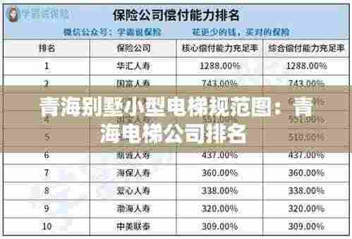 青海别墅小型电梯规范图：青海电梯公司排名 