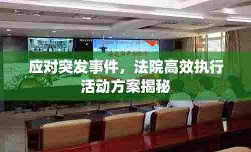 应对突发事件，法院高效执行活动方案揭秘