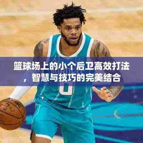 篮球场上的小个后卫高效打法，智慧与技巧的完美结合
