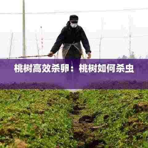 钝学累功 第4页