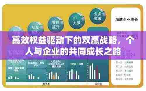 高效权益驱动下的双赢战略，个人与企业的共同成长之路