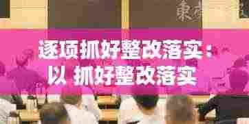 逐项抓好整改落实：以 抓好整改落实 