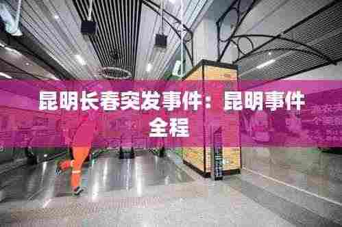 昆明长春突发事件：昆明事件全程 