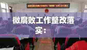 微腐败工作整改落实： 