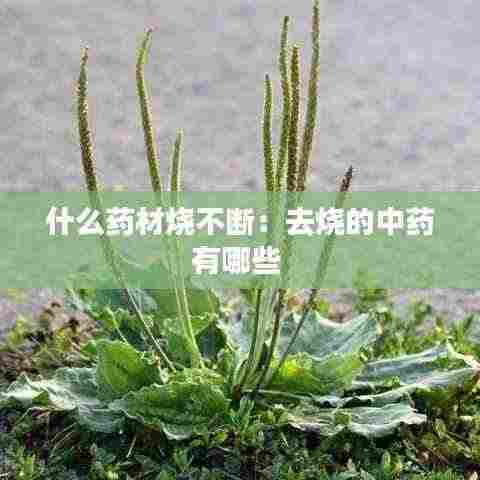 什么药材烧不断：去烧的中药有哪些 
