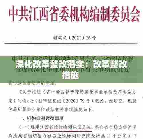 深化改革整改落实：改革整改措施 