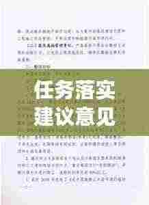任务落实建议意见：任务落实情况汇报 