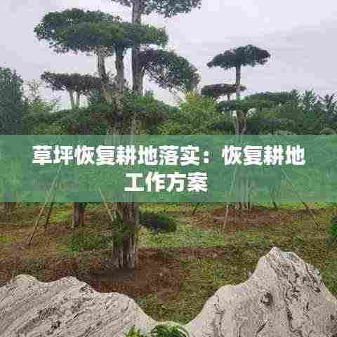 草坪恢复耕地落实：恢复耕地工作方案 