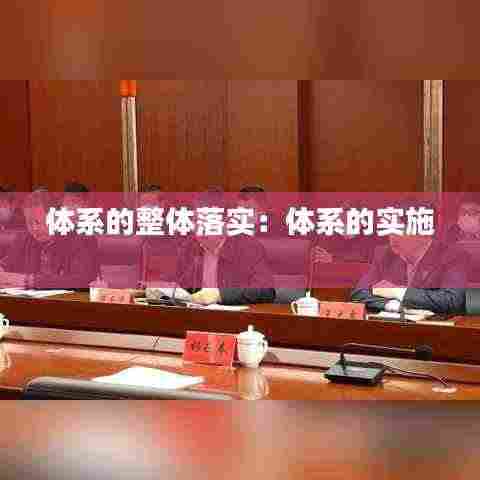 体系的整体落实：体系的实施 