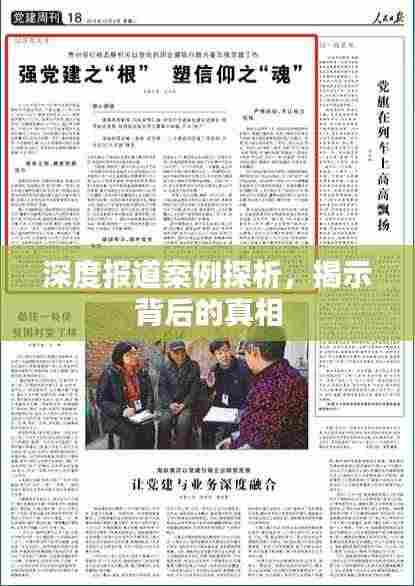 深度报道案例探析，揭示背后的真相