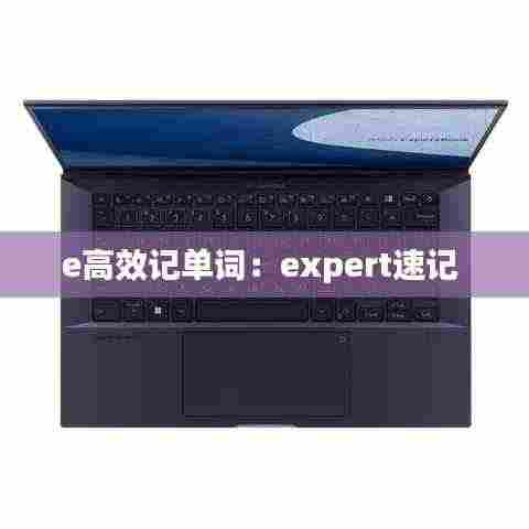 e高效记单词:expert速记