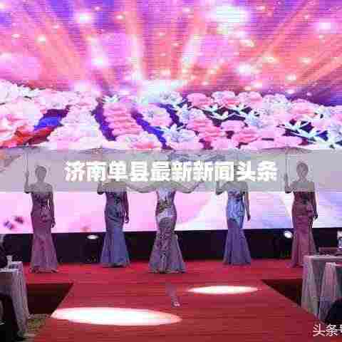 济南单县最新新闻头条