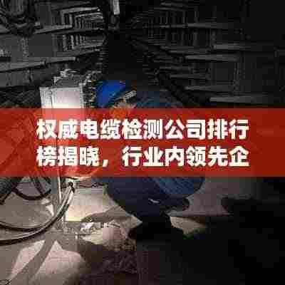 权威电缆检测公司排行榜揭晓，行业内领先企业榜单出炉！