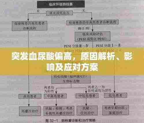 突发血尿酸偏高，原因解析、影响及应对方案