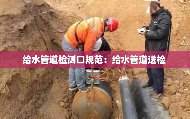 给水管道检测口规范：给水管道送检 