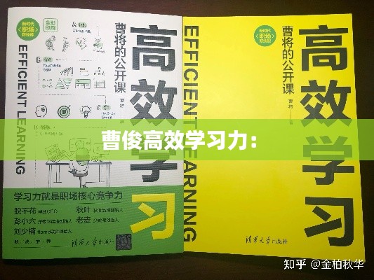 曹俊高效学习力： 