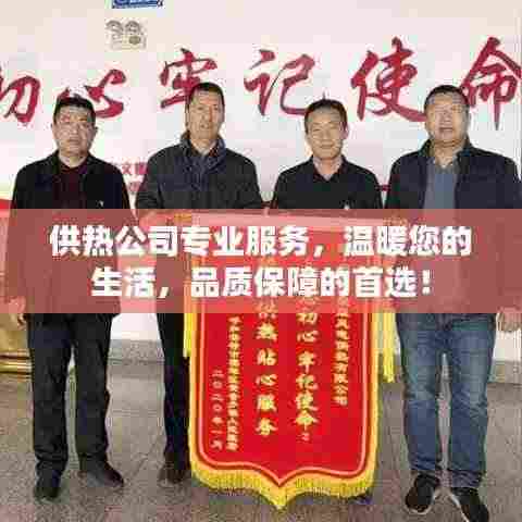 供热公司专业服务，温暖您的生活，品质保障的首选！