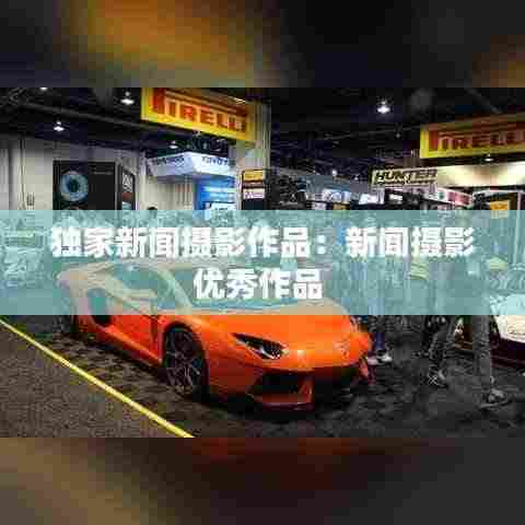 独家新闻摄影作品：新闻摄影优秀作品 