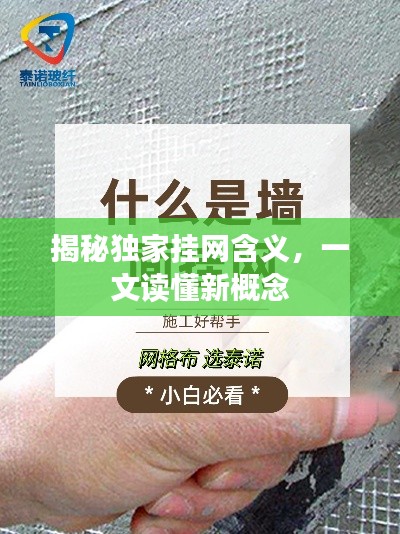 揭秘独家挂网含义,一文读懂新概念