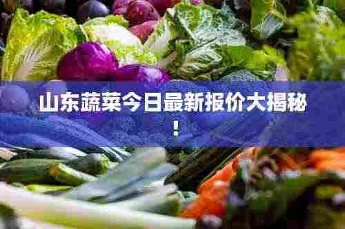 山东蔬菜今日最新报价大揭秘！