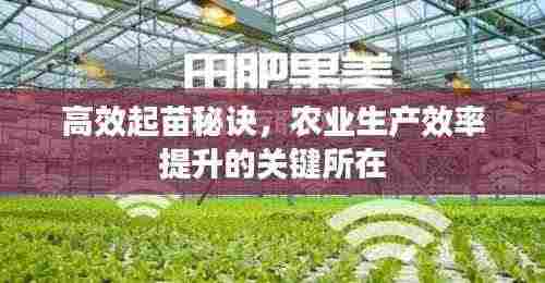 高效起苗秘诀，农业生产效率提升的关键所在