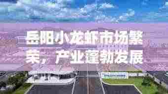 岳阳小龙虾市场繁荣，产业蓬勃发展，最新消息一网打尽