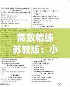 高效精练苏教版：小学数学高效精练五年级下册苏教版答案 