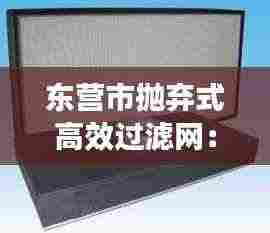 东营市抛弃式高效过滤网：抛弃式高效过滤器 