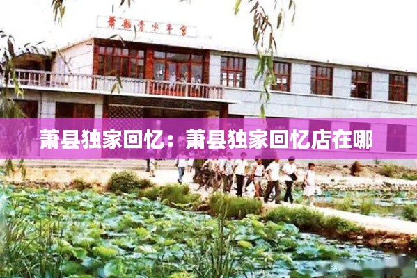萧县独家回忆：萧县独家回忆店在哪 