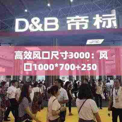 高效风口尺寸3000：风口1000*700+250 