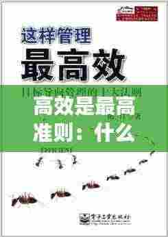 高效是最高准则：什么是高效的 