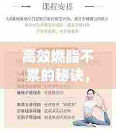 高效燃脂不累的秘诀，探索健康减肥新途径！